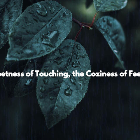 Sweetness of Touching, the Coziness of Feeling