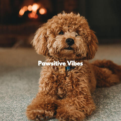 Pawsitive Vibes