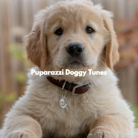 Puparazzi Doggy Tunes