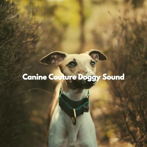 Canine Couture Doggy Sound