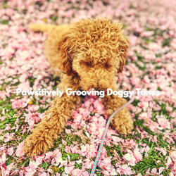 Paradise Like (Puppy Rest)