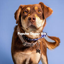 Simple (The Cutest Puppy)
