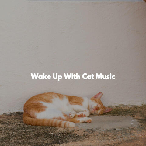 Wake Up With Cat Music