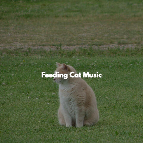 Feeding Cat Music