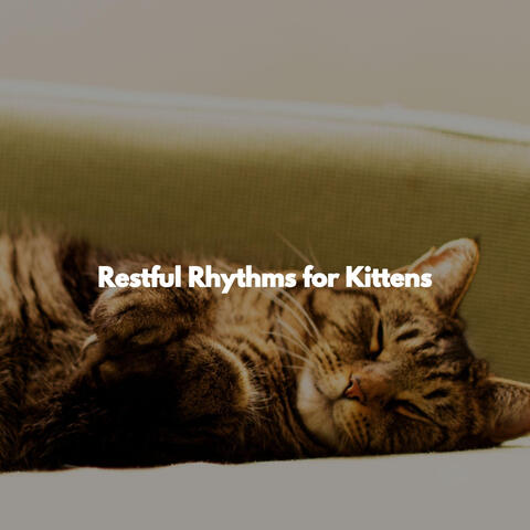 Restful Rhythms for Kittens