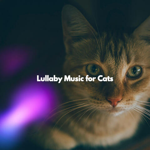 Lullaby Music for Cats