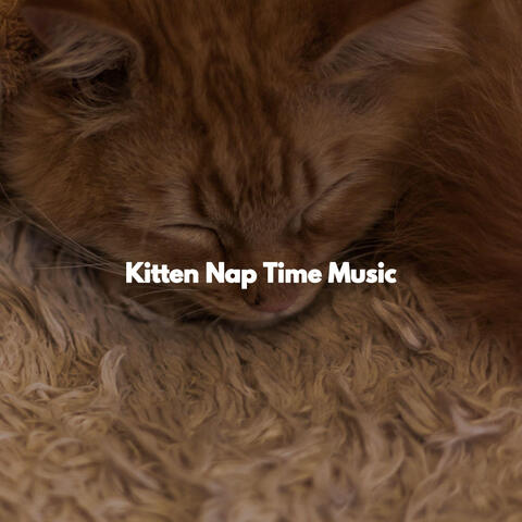 Kitten Nap Time Music