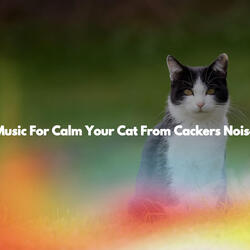 Happening Music for Co-Working Space