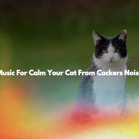Music For Calm Your Cat From Cackers Noise