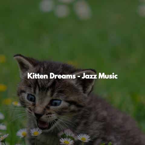 Kitten Dreams - Jazz Music