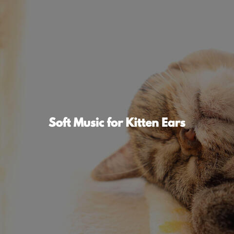 Soft Music for Kitten Ears