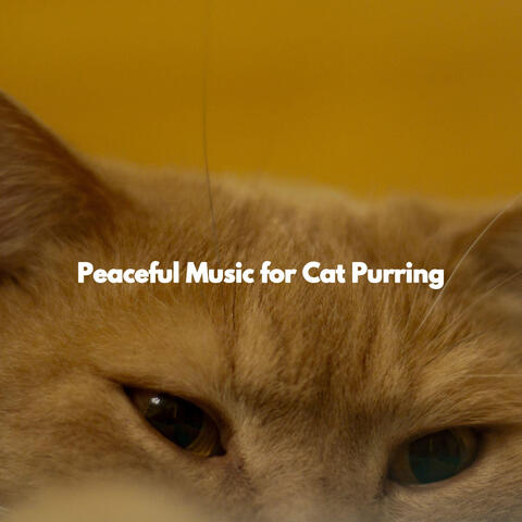 Peaceful Music for Cat Purring