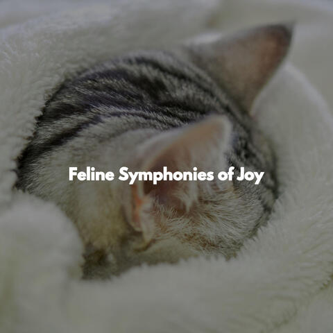 Feline Symphonies of Joy