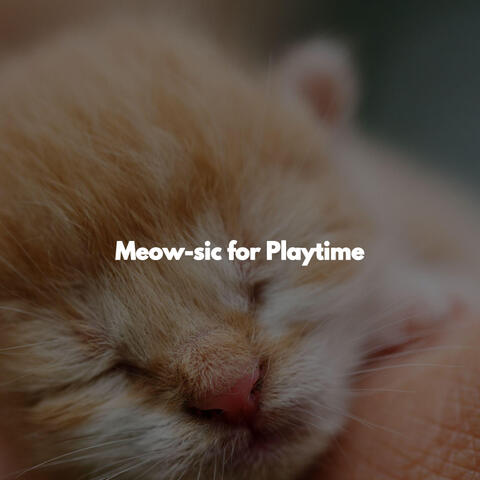 Meow-sic for Playtime
