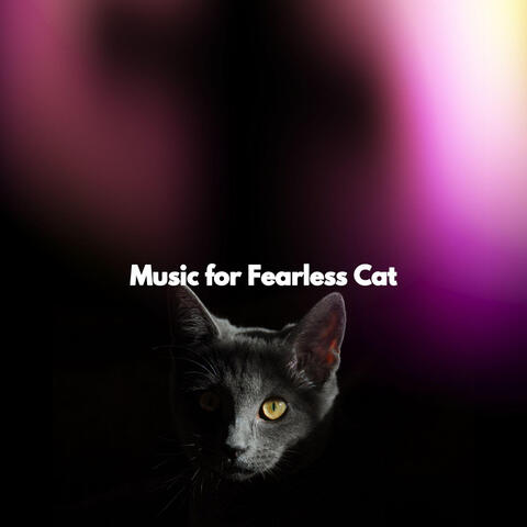 Music for Fearless Cat