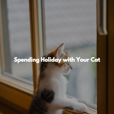 Spending Holiday with Your Cat