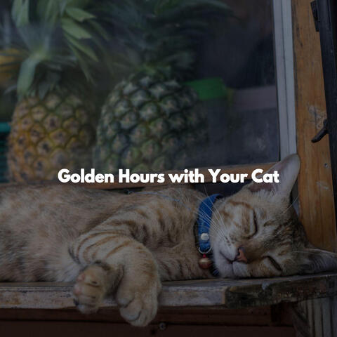 Golden Hours with Your Cat