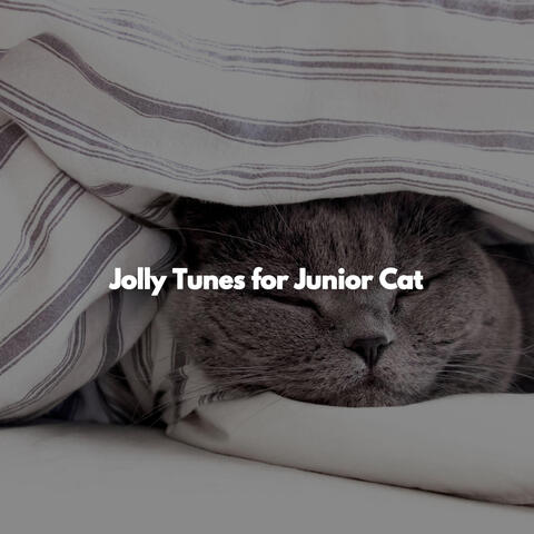 Jolly Tunes for Junior Cat