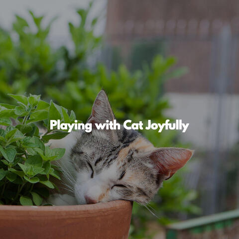 Playing with Cat Joyfully