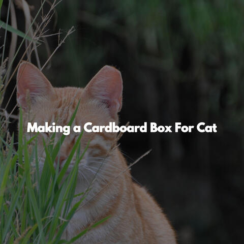 Making a Cardboard Box For Cat