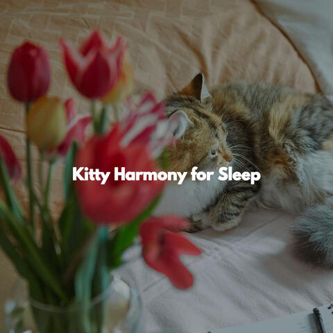 Kitty Harmony for Sleep