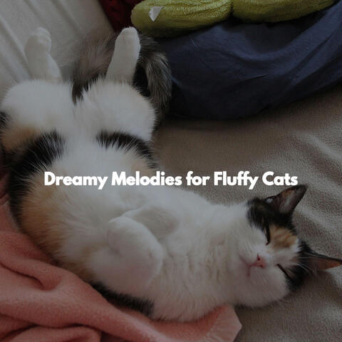 Dreamy Melodies for Fluffy Cats