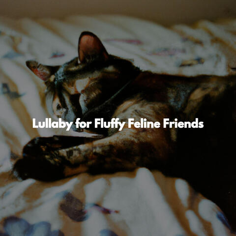 Lullaby for Fluffy Feline Friends