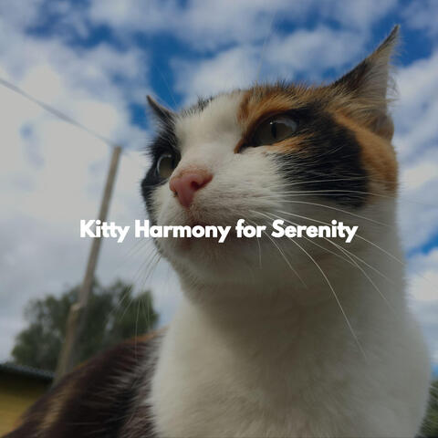 Kitty Harmony for Serenity