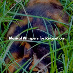 Smoky Ambiance for Co-Working Space