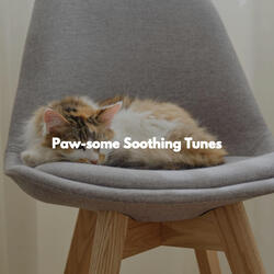 Opulent Music for Shared Desks