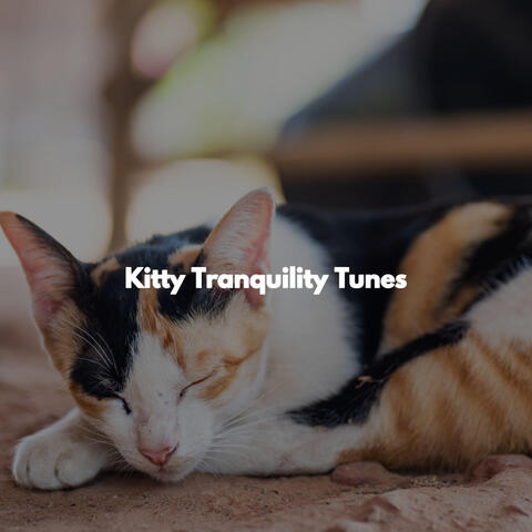 Kitty Tranquility Tunes