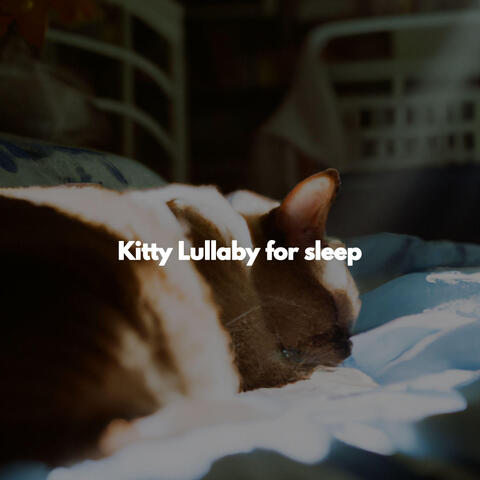 Kitty Lullaby for sleep