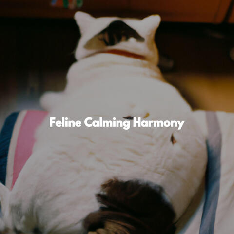 Feline Calming Harmony