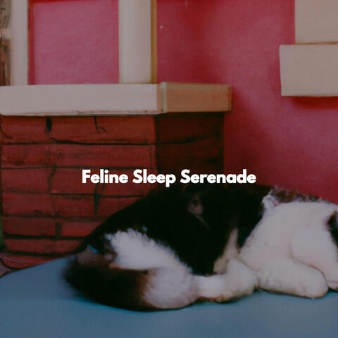 Feline Sleep Serenade
