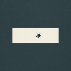 Hiding