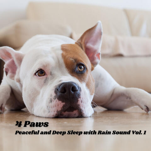 4 Paws: Peaceful and Deep Sleep with Rain Sound Vol. 1