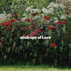 Excellent Music for Composure