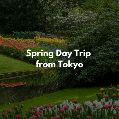 Spring Day Trip from Tokyo