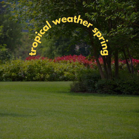 tropical weather spring music