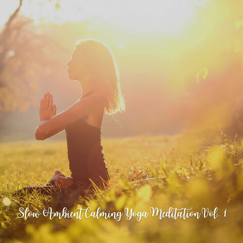 Slow Ambient Calming Yoga Meditation Vol. 1