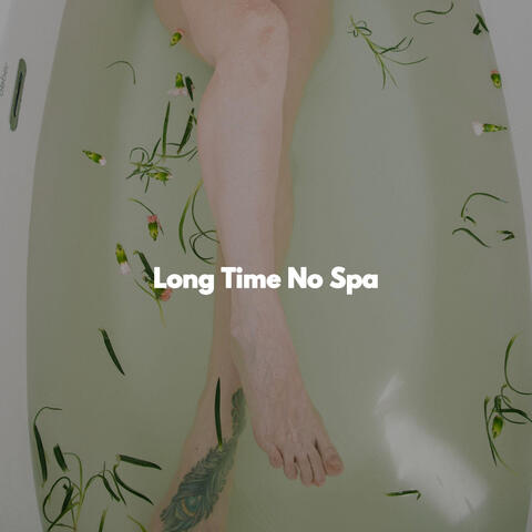 Long Time No Spa