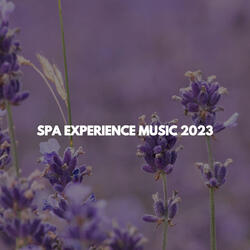 Playful Wellness Therapies