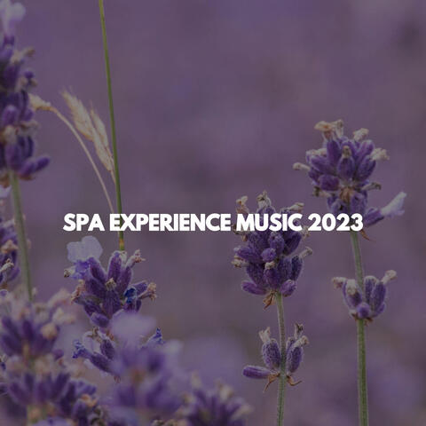 SPA EXPERIENCE MUSIC 2023