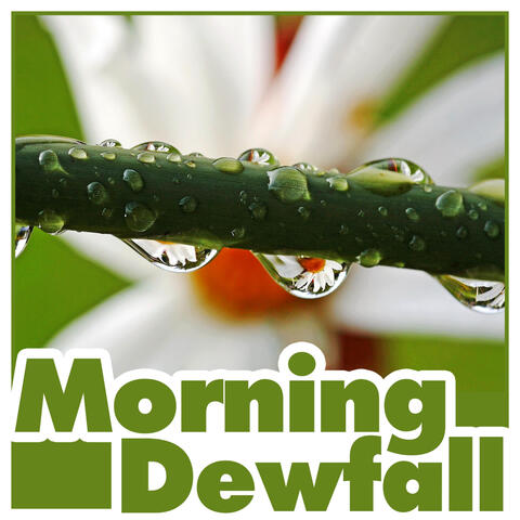 Morning Dewfall