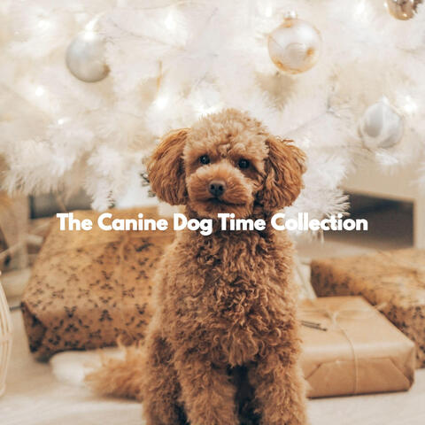 The Canine Dog Time Collection