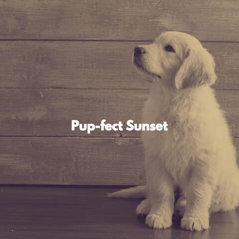 Pup-fect Sunset