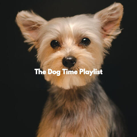 The Dog Time Playlist