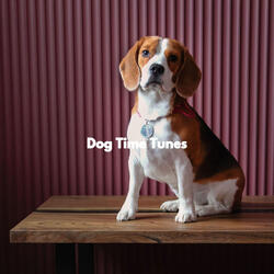 Memories (Lonely Dog)