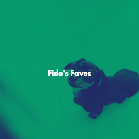Fido's Faves
