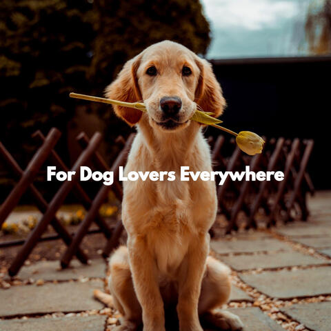 For Dog Lovers Everywhere